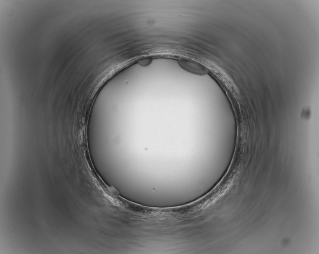 X0000100230993200806131332