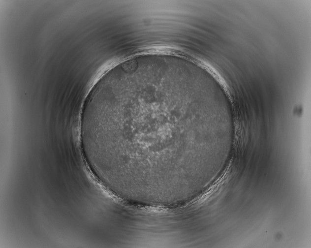 X0000100230994200806131332