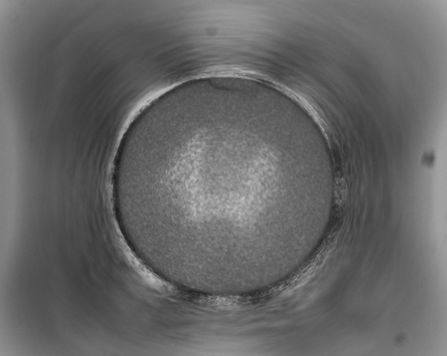 X0000100230995200806131332