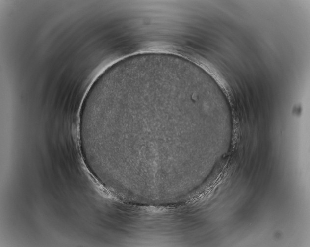 X0000100230996200806131332