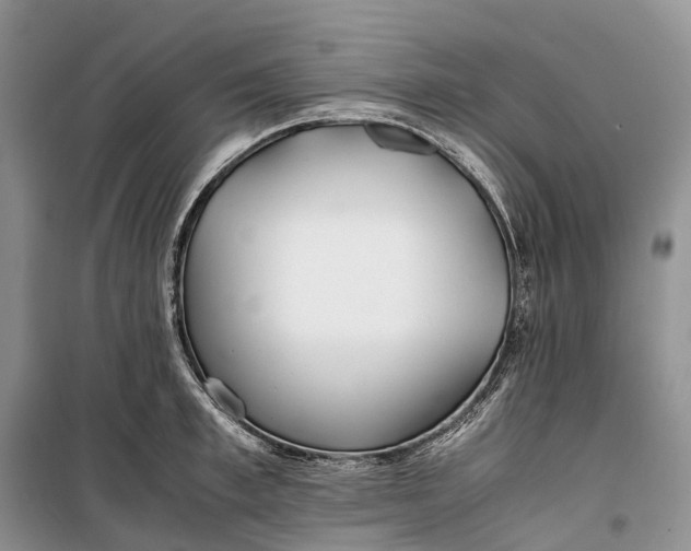 X0000100230997200806131332