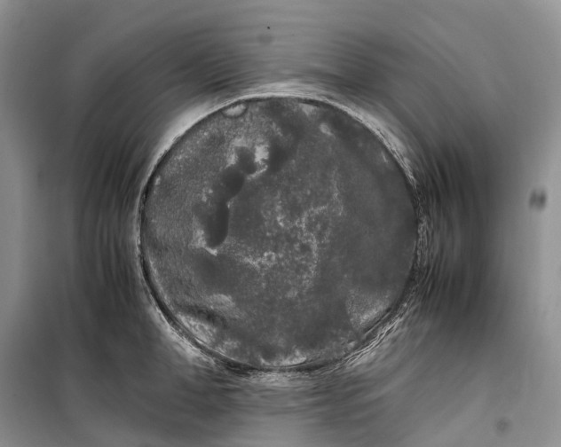 X0000100230998200806131332