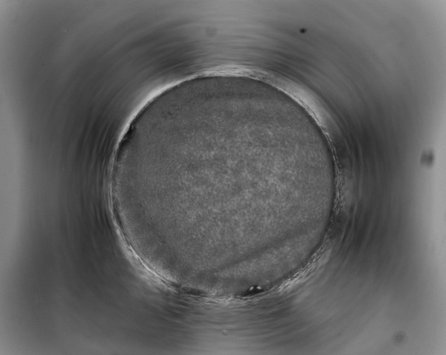 X0000100231000200806131332