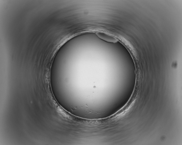 X0000100231001200806131332