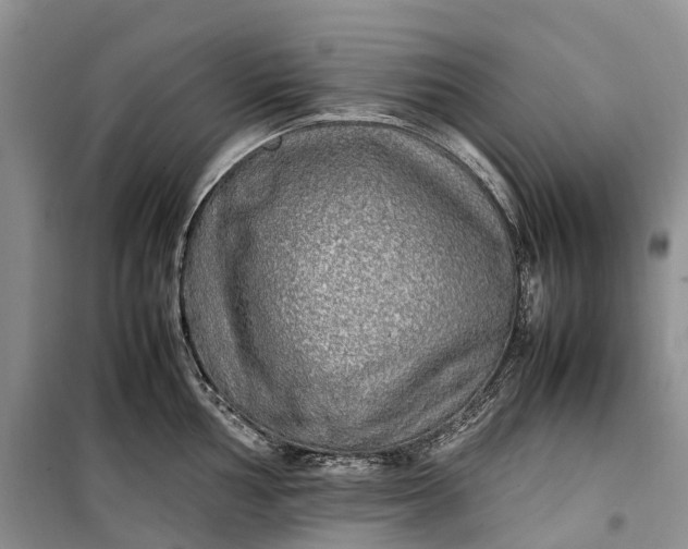 X0000100231002200806131332