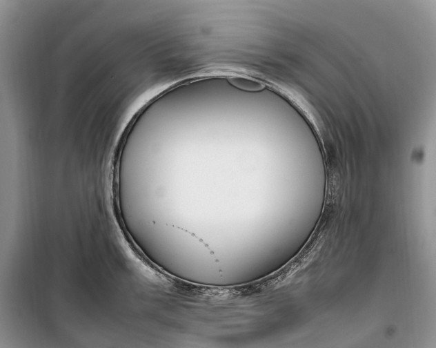 X0000100231003200806131332