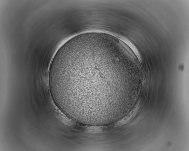 X0000100231004200806131332