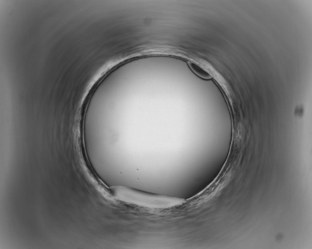 X0000100231005200806131332