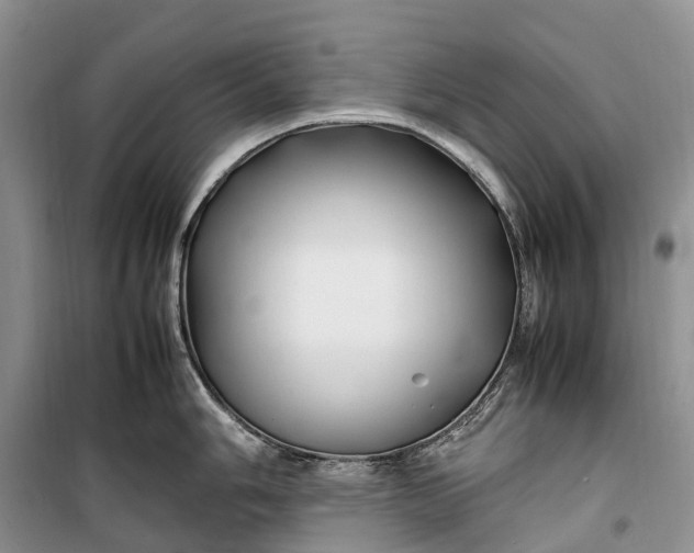 X0000100231006200806131332