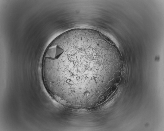 X0000100231007200806131332