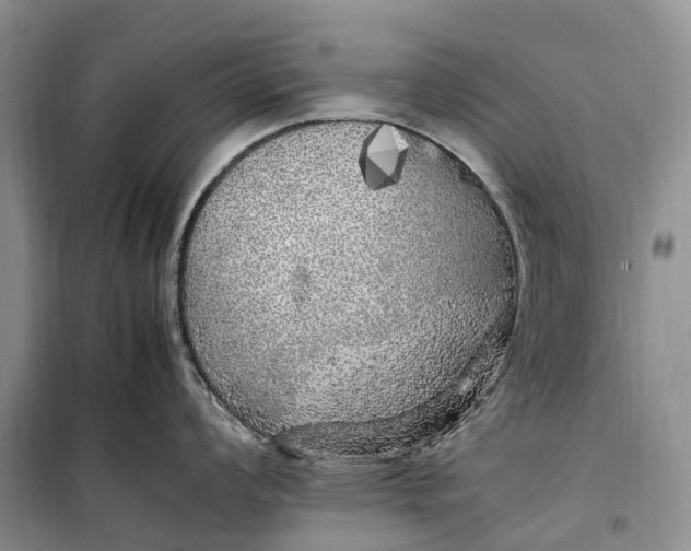 X0000100231008200806131332