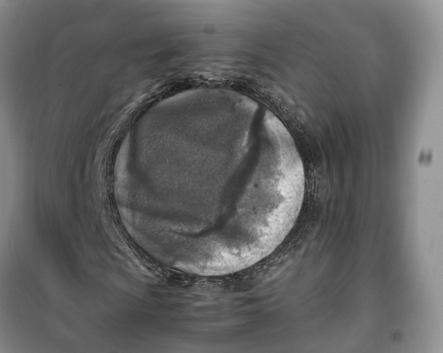 X0000100231009200806131331