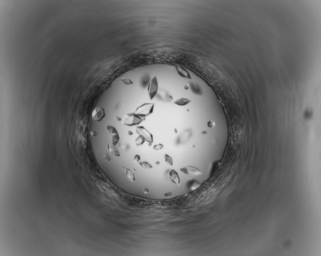 X0000100231010200806131331