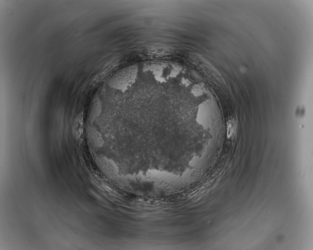 X0000100231011200806131331