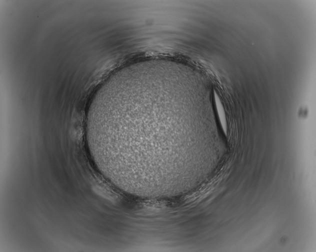 X0000100231012200806131331