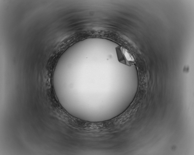 X0000100231013200806131331