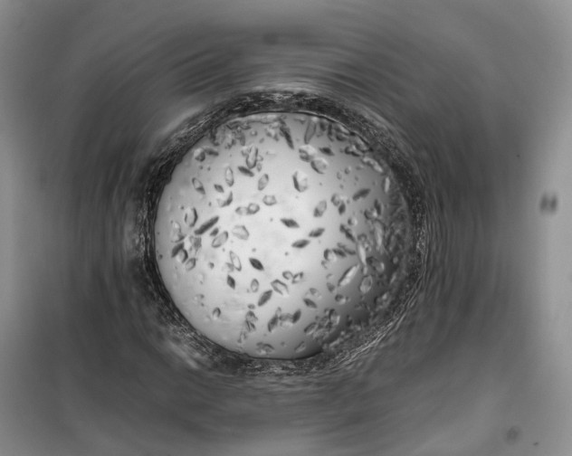 X0000100231014200806131331