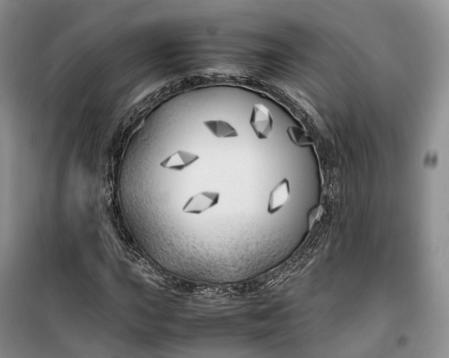 X0000100231015200806131331