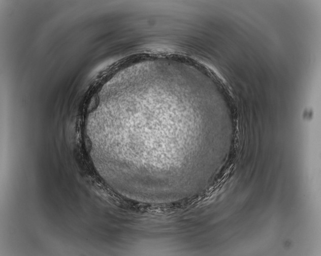 X0000100231016200806131331