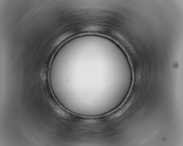 X0000100231017200806131331