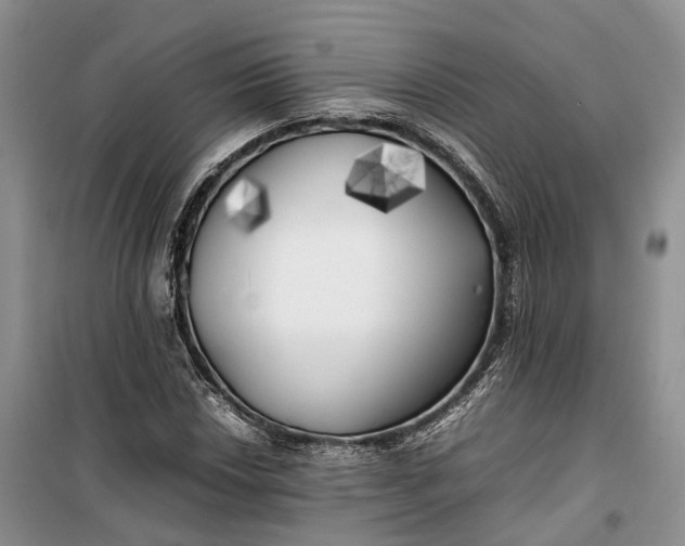 X0000100231018200806131331