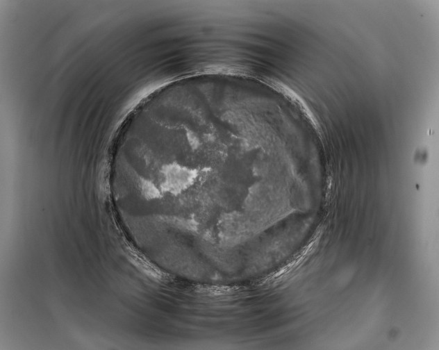 X0000100231019200806131331