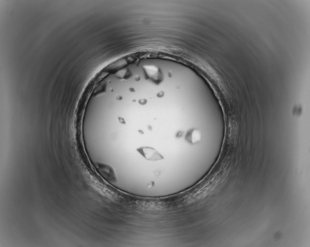 X0000100231020200806131331