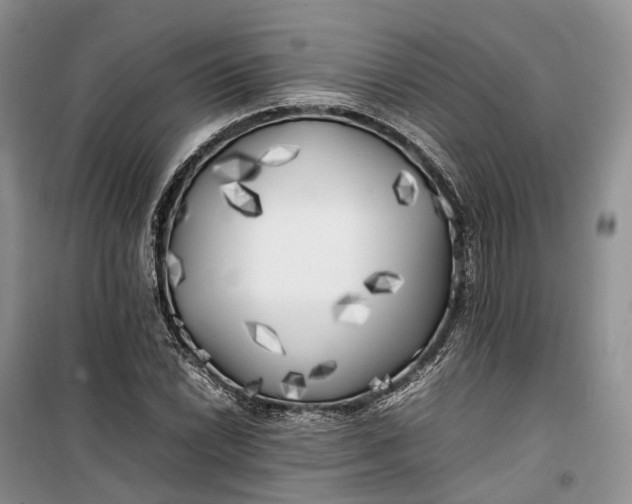 X0000100231022200806131331