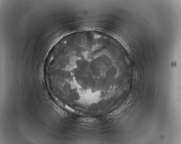 X0000100231023200806131331