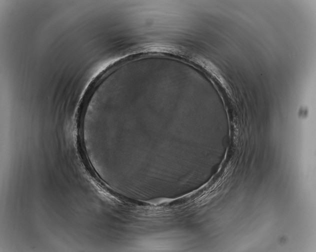 X0000100231024200806131331