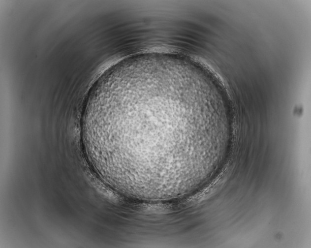 X0000100231025200806131331