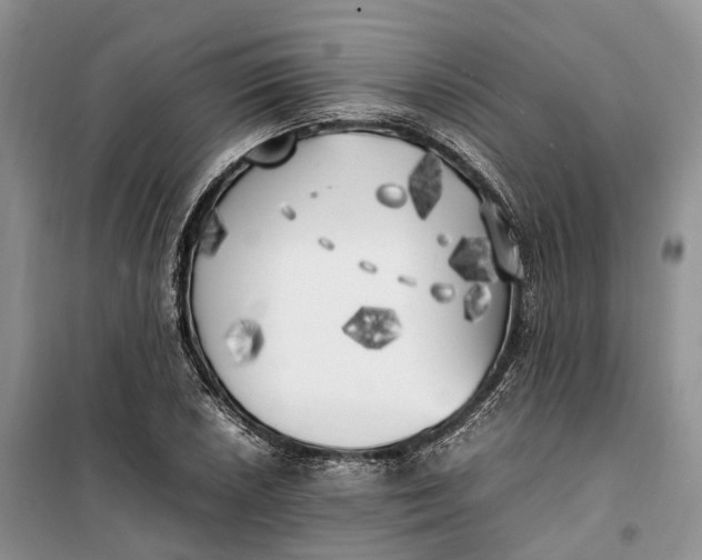 X0000100231026200806131331