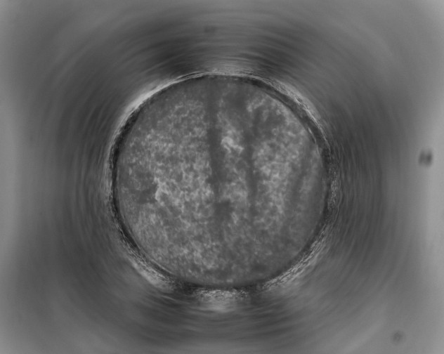 X0000100231027200806131332