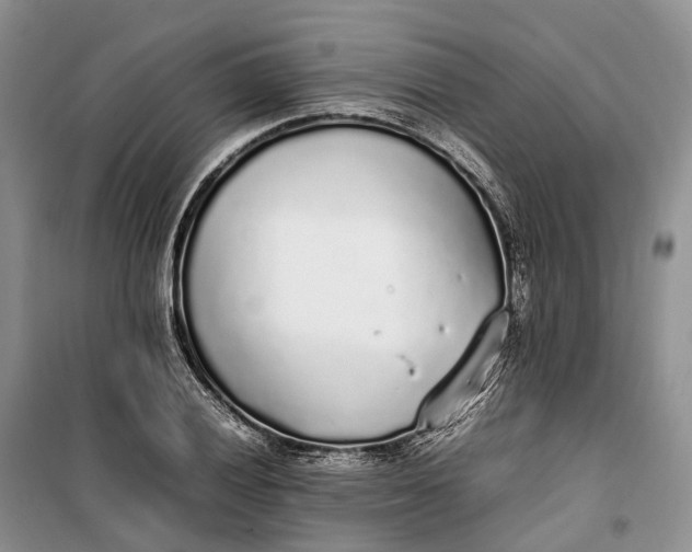 X0000100231028200806131332