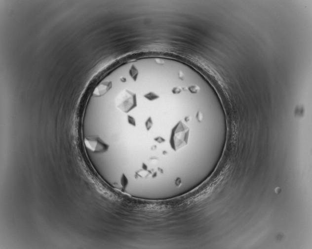 X0000100231029200806131332