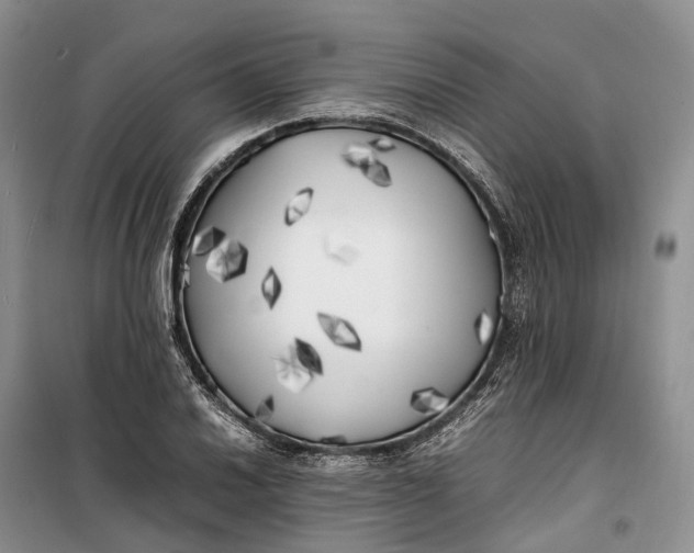 X0000100231030200806131332