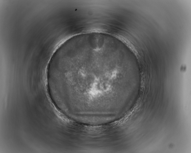 X0000100231031200806131332