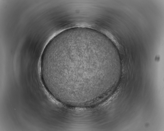 X0000100231032200806131332