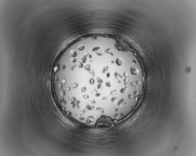 X0000100231033200806131332