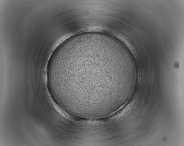 X0000100231034200806131332