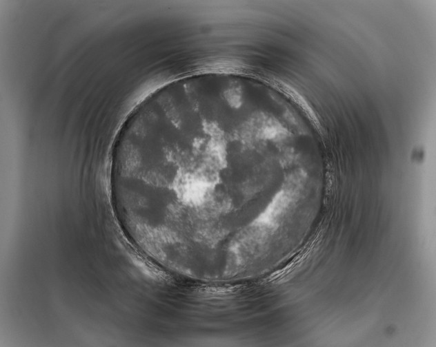 X0000100231035200806131332