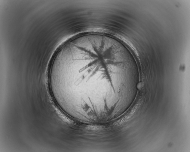 X0000100231037200806131332