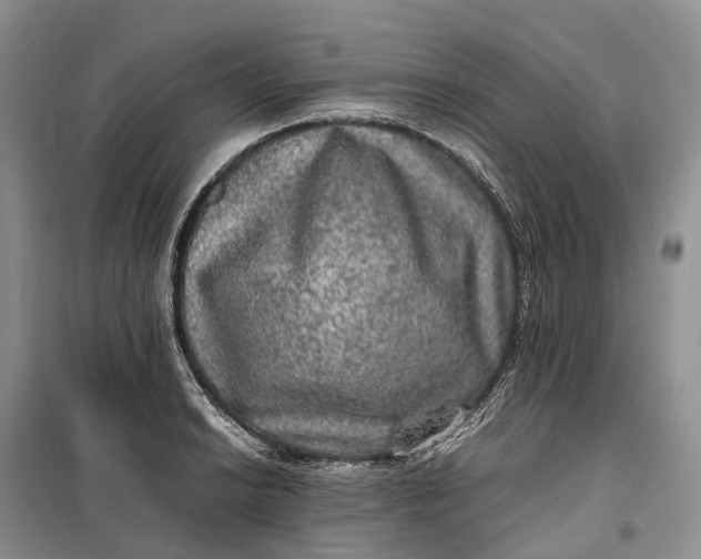 X0000100231038200806131332