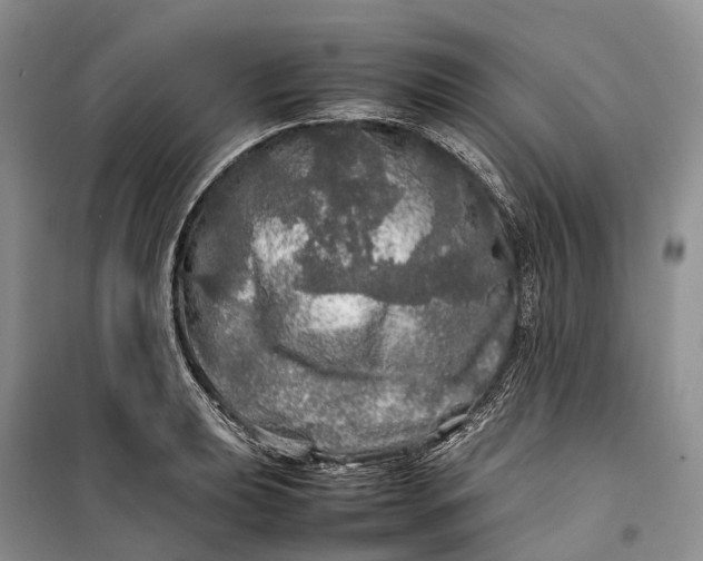 X0000100231039200806131332