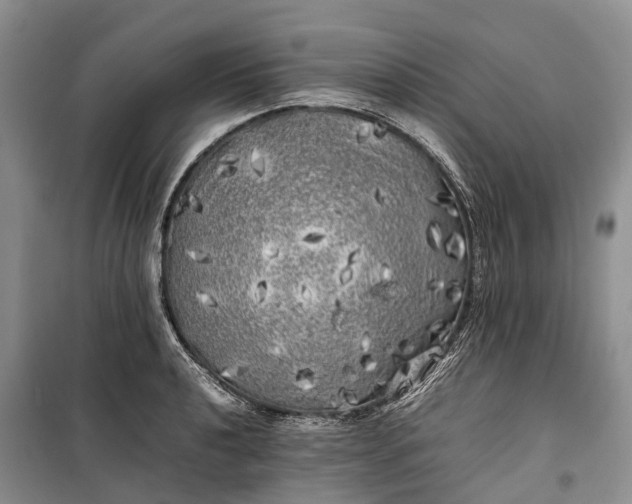 X0000100231040200806131332