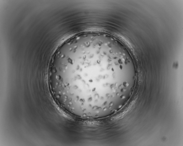 X0000100231041200806131332