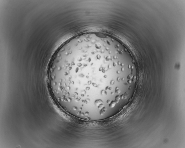 X0000100231042200806131332