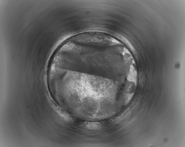 X0000100231043200806131332