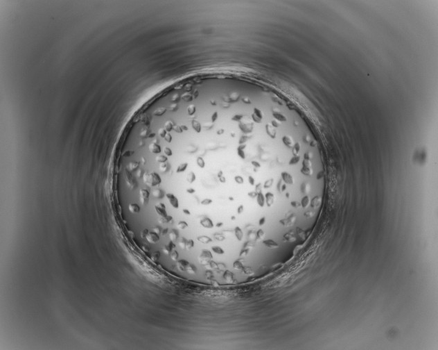 X0000100231044200806131332