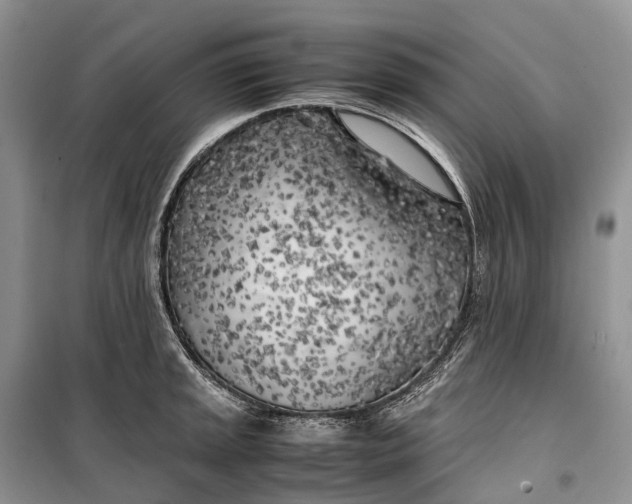 X0000100231045200806131332